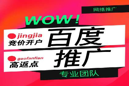 SEM托管代运营服务案例解析
